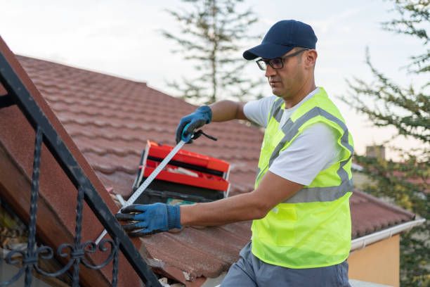 Best Attic Insulation Installation  in Basye, VA